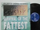 VA - Survival Of The Fattest LP FAT WRECK 1996 NOFX LAGWAGON NO USE FOR A NAME