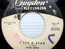 LITTLE STEVE 45 with white doo-wop group PROMO Guyden I SEE A STAR / LETTER pc15