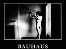 BAUHAUS - IN THE FLAT FIELD-COLOURED VINYL   VINYL LP NEW+