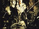 Fields of the Nephilim - Elizium [Vinyl LP] (LP) 4001617308912
