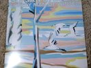 Sufjan Stevens Lonely Man of Winter Vinyl Record Green Variant Asthmatic Kitty