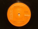 V.RARE SOLID CENTER DAVID BOWIE BEAUTY AND THE BEAST 7