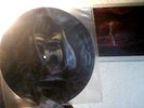 MOTÖRHEAD - Orgasmatron  PICTURE LP  Original