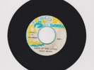 SNOW BIRD/ LAND OF THE LIVING - BARRY BROWN (86 KILLER DIGI ROOTS 7