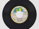 HARRRY J/ THE LAMENT OF AFRICAN PEOPLE - FUNKY BROWN  (72 REGGAE ROOTS 7