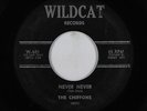 Girl Group 45 - Chiffons - Never Never - Wildcat - mp3