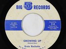 Garage Teen 45 - Ernie Rockette - Growing Up - Big 5 - mp3