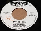 RARE NORTHERN SOUL 45 THE SPANDELLS 