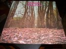 Twink - Twink Pink - LP - Akarma - G/F