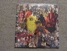 Dead Meadow - Warble Womb Double Gatefold LP -Red Vinyl - 2013
