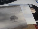 GENESIS WIND & WUTHERING UK LP Orig. A2/B2 MATRIX PRESSING 1976