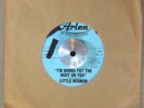 NORTHERN SOUL 45 - LITTLE HERMAN - I'M GONNA PUT THE HURT ON YOU Arlen M- HEAR