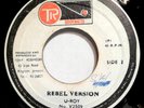 U-Roy Natty Rebel  rare reggae 45  TR GROOVEMASTER Jamaica