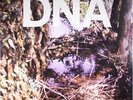 DNA - A Taste Of DNA - Vinyl (12