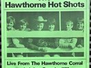 Hawthorne Hot Shots EP - Brian Wilson Beach Boys w/ PS and Insert