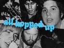 NRBQ - All Hopped Up - NEW SEALED LP with gatefold jacket