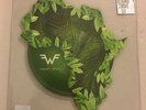 RSD Black Friday 2018 - WEEZER - AFRICA 10