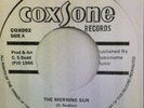 GAYLADS / The Morning Sun/ Talk To Much