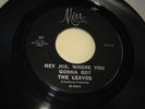 Leaves - Hey Joe Where You Gonna Go / Be With You 45 Mira 207 rare garage
