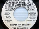 the GALLAHADS doowop soul STARLA VG++ promo 45 Keeper of Dreams / Sad Girl kz118