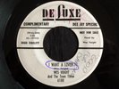 Wes Voight, Deluxe 6180, I Want A Lover & Little Joan, Nice Rocker and Teener