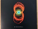 Pearl Jam Binaural LP First Press 2000 E263665 slightly damaged left corner