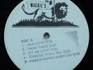 PRINCE DOUGLAS Dub Roots RARE ORIG WACKIE'S LP [Missing Cover] mp3