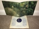 JOHN MAYALL & THE BLUESBREAKERS Blues From Laurel Canyon LP UK 1st Press