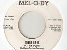 THE VELLS (VANDELLAS) There He Is Cherish MEL O DY PROMO MOTOWN NORTHERN SOUL 45