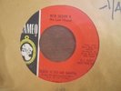CHRISTMAS HOLIDAY 45 - Bob Seger & the Last Herd - Sock it to Me Santa (NM-)