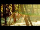 Childish Gambino - Camp 2 x LP - 180 Gram Vinyl Album + Download - Heartbeat