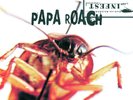 Papa Roach 