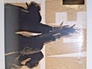 Pearl Jam - Ten Vinyl Edition LP1 LP2 180 Grams Audiophile Pressing Record NEW