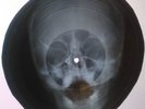 Doors Love Her Madly UNIQUE X-RAY USSR ROENTGEN Bones Record Skull