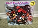 THE PINK FAIRIES WHAT A BUNCH OF SWEETIES ORIGINAL VINYL LP 2383-132 VG++NM