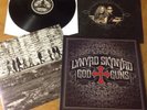 Lynyrd Skynyrd, God & Guns, Vinyl LP, 2009, RRCAR 7859-1, Insert,Inner S, SUPERB