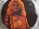 Led Zeppelin/Robert Plant - Central Park '69 LP PICTURE DISC RARE  HARD ROCK