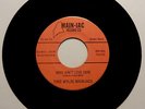 THEE WYLDE MAIN-IACS Why Ain't Love Fair 45 rpm GARAGE FUZZ PUNK Boston RARE mp3