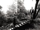 TIMBER TIMBRE - TIMBER TIMBRE (NEW VERSION)  VINYL LP NEW