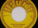 SHERRY CRANE: Willie Willie / Winnie Parakeet US SUN Rockabilly 45 NM