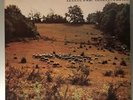 Popol Vuh ? Letzte Tage - Letzte Nächte Vinyl LP France 1976 Great  Mint vinyl