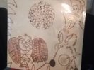 Devendra  Banhart Rejoicing in the hands 2XLp NM