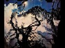BURNING FROM THE INSIDE [12/7] NEW VINYL