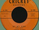 JOHNNY RANDLE By My Side / Put Me in the Alley 45rpm Cricket 1960 obscure teen