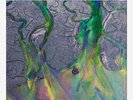 Alt-J - An Awesome Wave - Limited Blue Marble Vinyl, Newbury Comics OOP Rare