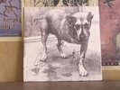 ALICE IN CHAINS, SELF TITLED - RARE AUTOGRAPHED LP C2 67248 NIRVANA PEARL JAM