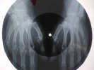 The Doors - The Crystal Ship  X-RAY USSR ROENTGEN Bones Record