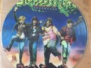 Sloppy Seconds - Destroyed Pic LP Punk Oi  HC