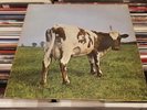 pink floyd vinyl lp Atom Heart Mother UK NO EMI
