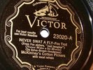 McKinney's Cotton Pickers-Victor 23020 Never Swat A Fly (NYC 1930)